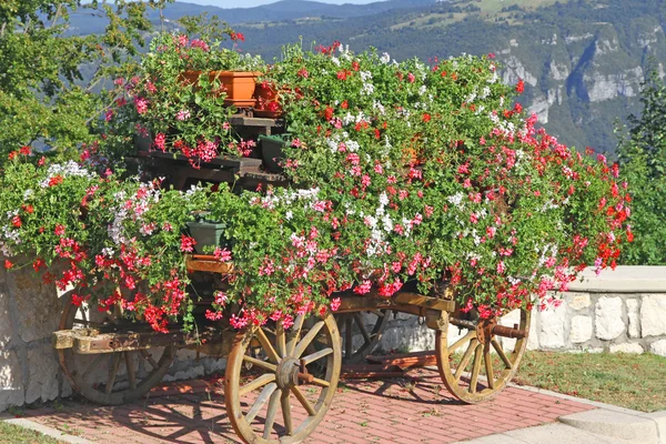 Hermoso carrito de flores de montaña con muchos geranios y otros flo —  Fotos de Stock
