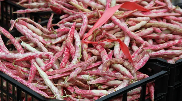 Boîte avec beaucoup de haricots frais comme borlotto à vendre au marché — Photo
