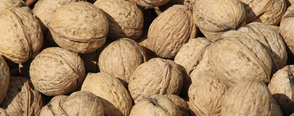 Background of many mature Brown coconuts for sale at the market — Stock Photo, Image