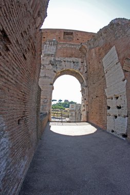 Kolezyum Roma içinde