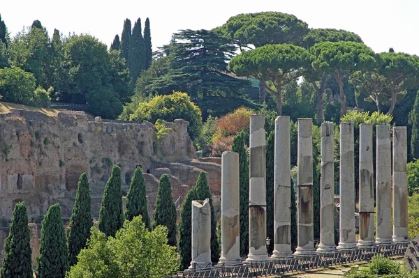 Colunas antigas do templo romano no Fori Imperiali perto de — Fotografia de Stock