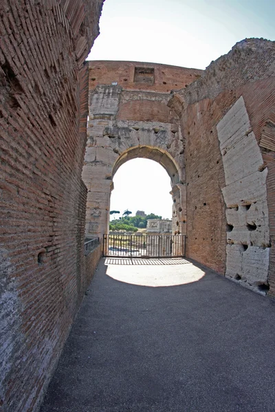 Oude kelders en geheime doorgangen voor het colosseum in rome — Stockfoto