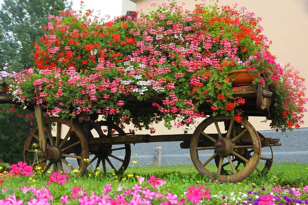 Holzwagen mit vielen blühenden Geranien im Sommer auf dem Berg — Stockfoto