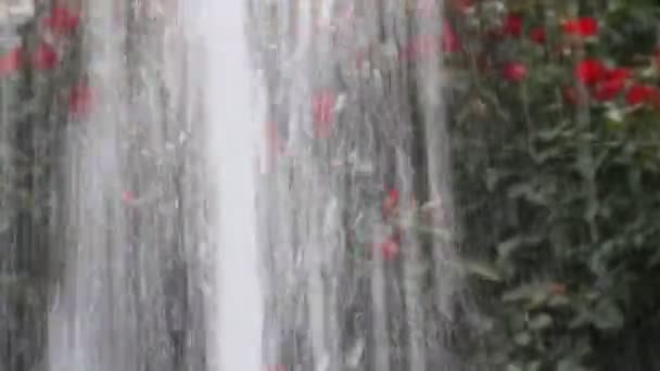 Fuente con chorro de agua y rosas rojas en el fondo — Vídeos de Stock