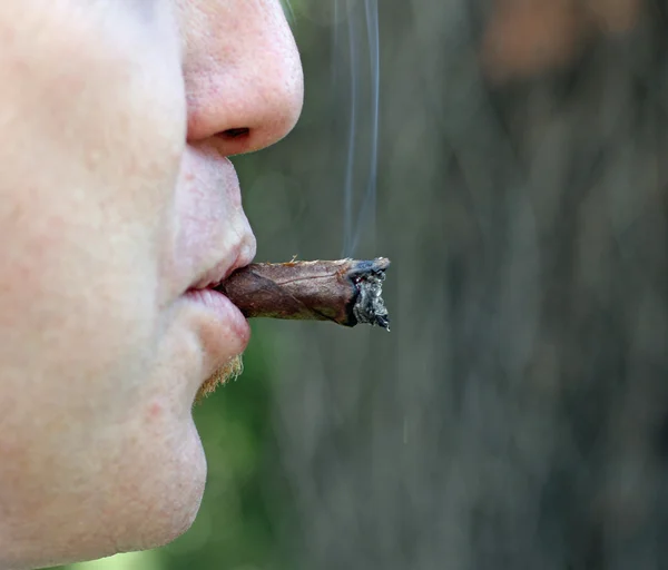 Cigare toscan fumé par un fumeur passionné 2 — Photo