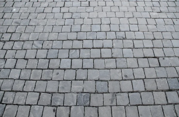 Cobblestones Vatikan ile parke — Stok fotoğraf