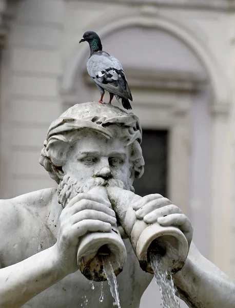 Детали статуи фонтана на площади Пьяцца Навона — стоковое фото