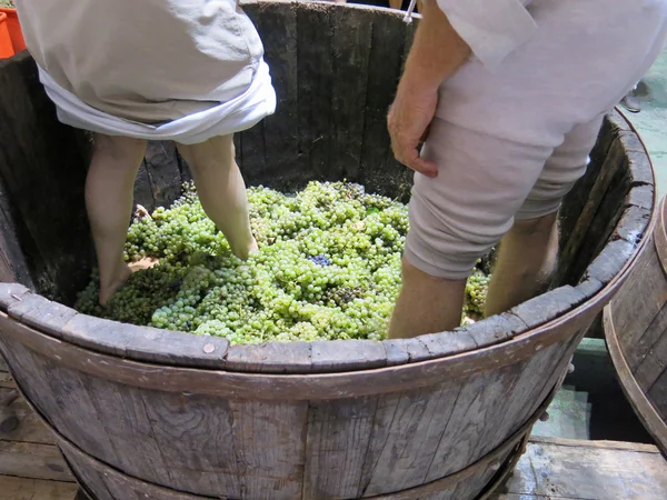 Мужчины и женщины внутри резервуара, чтобы нажать белый виноград — стоковое фото