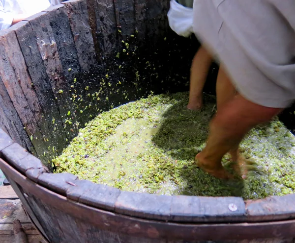 Homens e mulheres dentro do tanque para pressionar as uvas — Fotografia de Stock