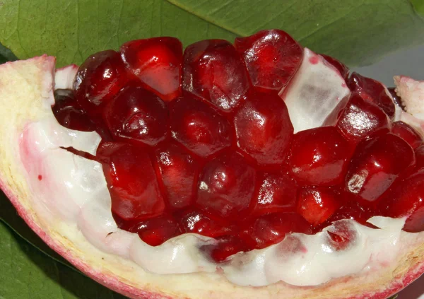 Slice of Pomegranate red ripe — Stock Photo, Image