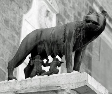 twins romulus ve remus emzirildiler ile dişi kurt heykeli