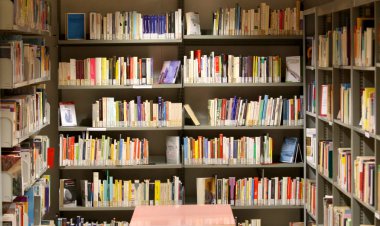Danışma eğitimli okuyucu için belediye kitaplığındaki kitap