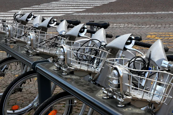 Vélos à louer aux touristes — Photo