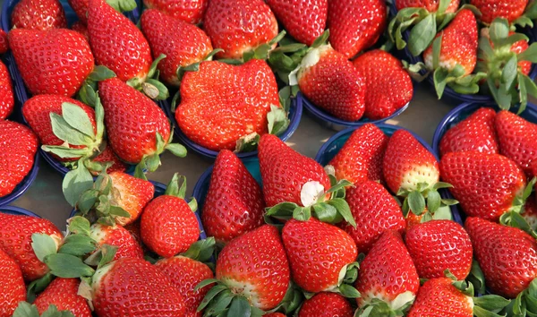 Coppe di fragole mature in vendita al mercato vegetale — Foto Stock