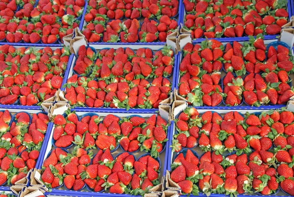 Krabice plné šťavnaté červené jahody a prodává na místním trhu — Stock fotografie