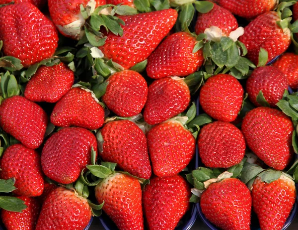 Röda jordgubbar till glädje för finsmakare — Stockfoto