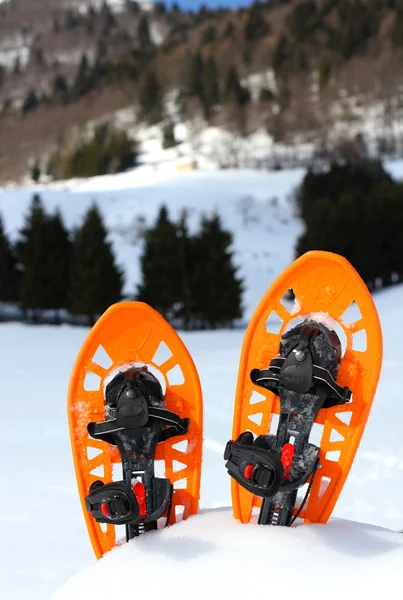 Zwei Schneeschuhe für Spaziergänge im weichen Schnee — Stockfoto