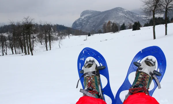Dağlarda kar ayakkabıları ile uzun bir yürüyüşten sonra dinlenme — Stok fotoğraf