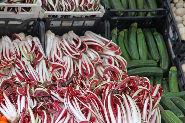 Červená treviso čekanky a zelené cukety prodávané na trhu stan — Stock fotografie
