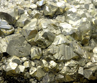 Rock with mineral PYRITE crystals or gold just found by Geologis