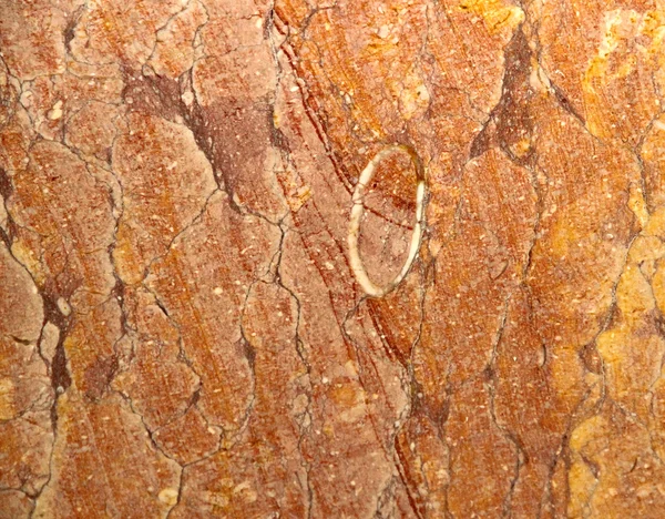 Orange marble with veins of red color sanded ready for use — Stock Photo, Image