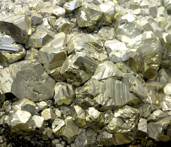 Rock with mineral PYRITE crystals or gold just found by Geologis — Stock Photo, Image