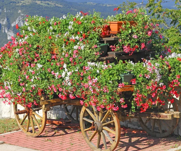 Gebirgsblumenwagen mit vielen Geranien und anderen Blumen — Stockfoto