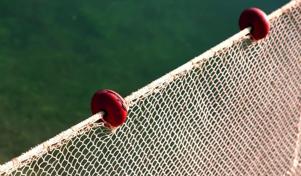 Red intacta sin pescado, pero —  Fotos de Stock