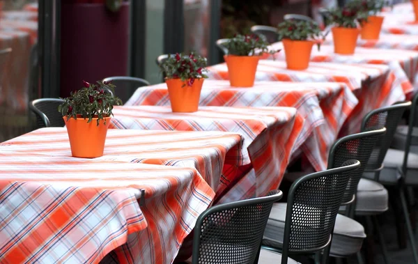 स्टाइलिश रेस्टॉरंटसाठी चेक केलेले टेबलक्लॉथसह ठेवलेले टेबल — स्टॉक फोटो, इमेज