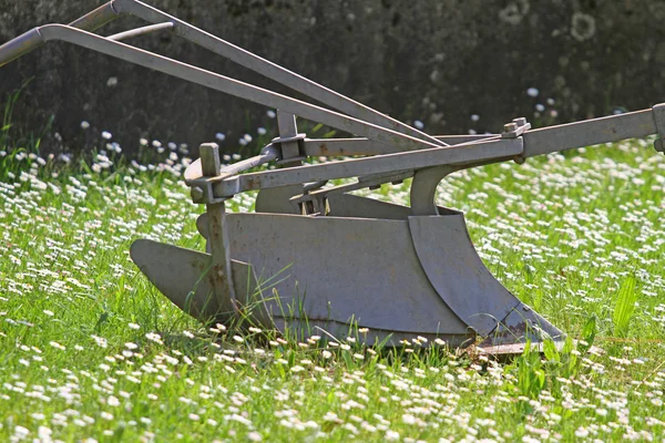 Plow to work the land on the grass field of daisies — Stock Photo, Image