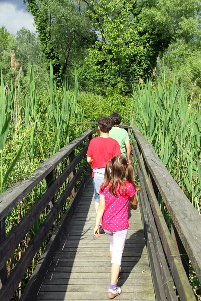 Dos hermanos con la hermanita caminando por la pasarela — Foto de Stock