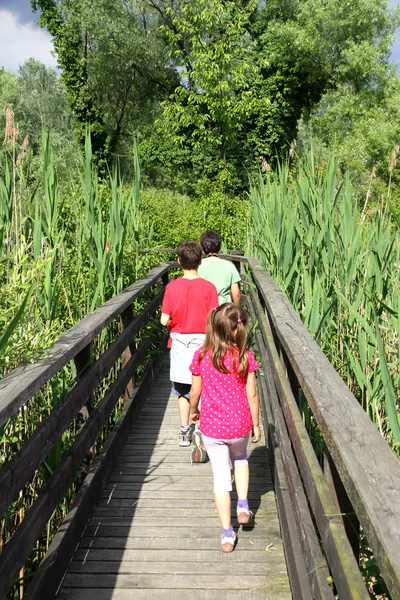 Dos hermanos con la hermana caminando por la pasarela en el medio — Foto de Stock