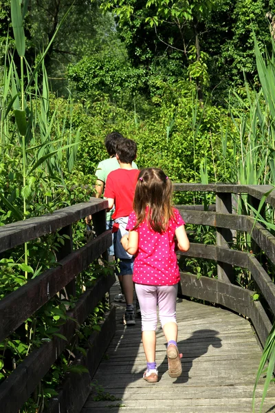 Trois frères marchant sur la passerelle au milieu du pon — Photo