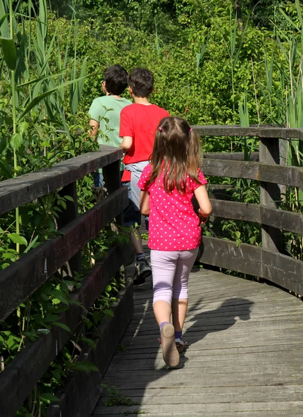 Trois jeunes frères marchant sur la passerelle au milieu de t — Photo