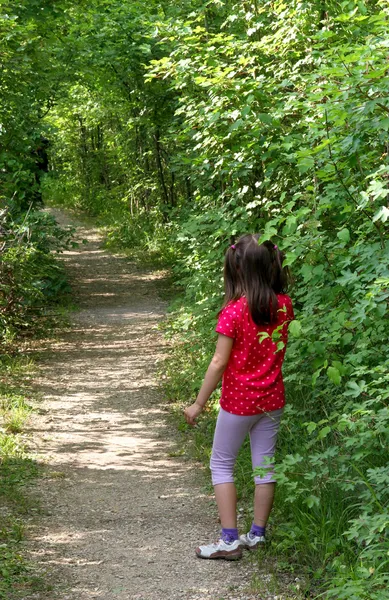 Jonge meisje verloren in het bos spoor — Stockfoto