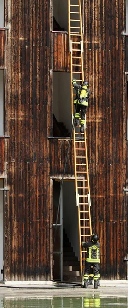 Πυροσβέστες με σκάλα κατά τη διάρκεια μια περίοδο πρακτικής εξάσκησης σε το fireho — Φωτογραφία Αρχείου