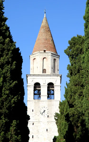 Haut clocher de l'ancienne ville d'AQUILEIA parmi les grands cyprès — Photo