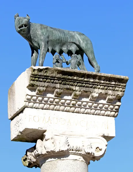 Ancient Capitoline Wolf above the Roman column while suckling Ro — Stock Photo, Image