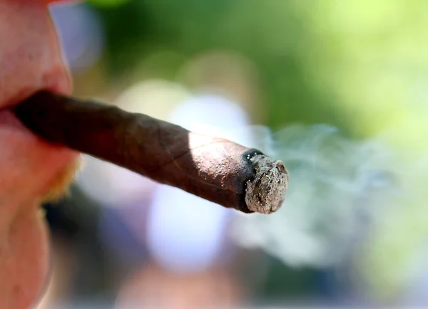 Ketting roker terwijl zuigt de rook van een sigaar handgemaakte Toscaanse — Stockfoto