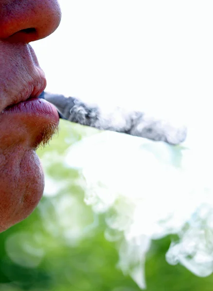 Palacz podczas palenia cygar kubańskich i dym 5 — Zdjęcie stockowe