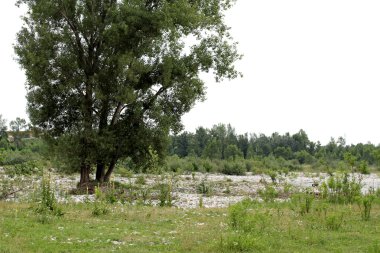 büyük Aspen brenta Nehri üzerinde