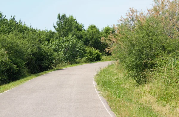 Paved road and you don't know what there is behind the curve — Stock Photo, Image