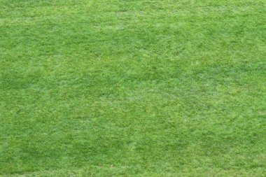 4 arka plan olarak kullanmak için yukarıdan izlendi çayır çimen