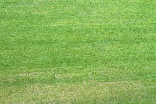 Grass meadow viewed from above 3 — Stock Photo, Image