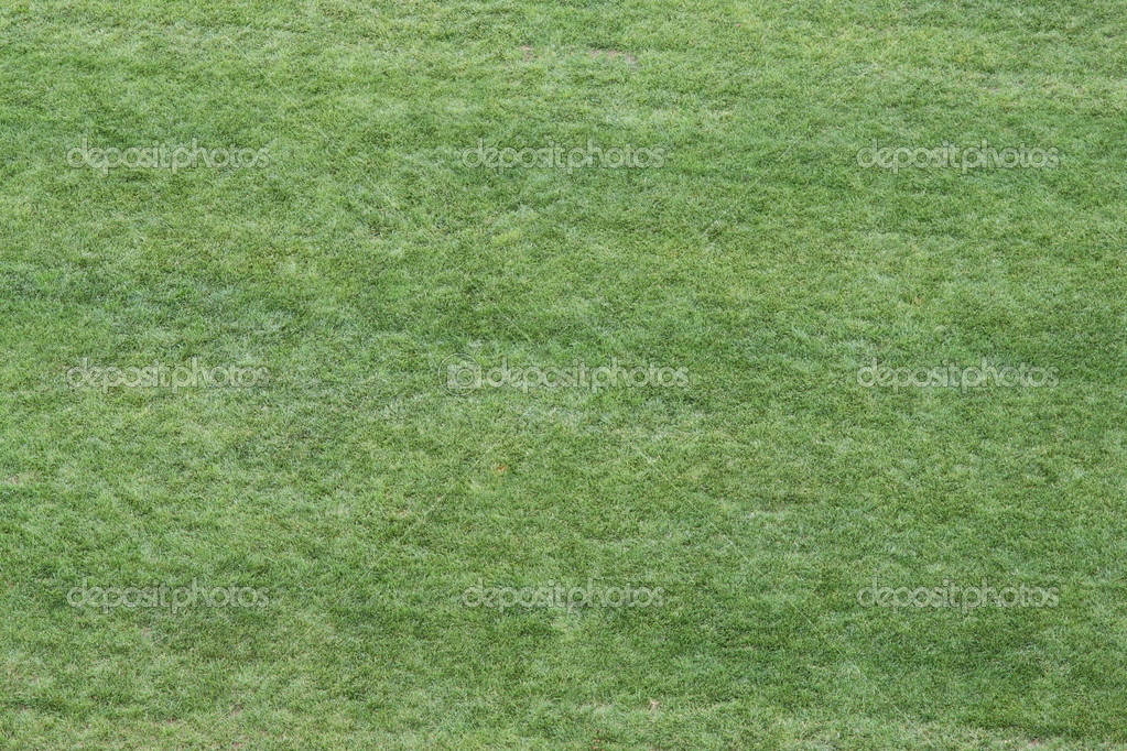壁紙や背景として使用に優れた素晴らしい芝生の草 ストック写真 C Chiccododifc 壁紙や背景として使用に優れた素晴らしい芝生の草 ストック写真 C Chiccododifc