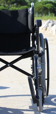 arka plan bitki örtüsü ile yarım tekerlekli sandalye