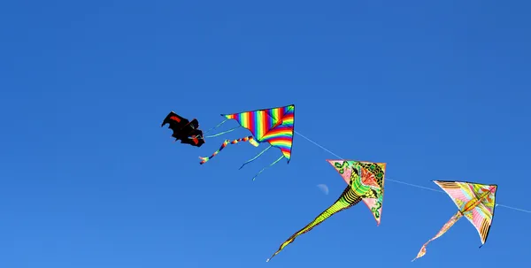 Vier prachtige vliegers vliegen in de lucht — Stockfoto