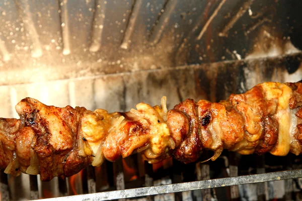 Excellent skewers of meat cooked on a spit in the fireplace 3 — Stock Photo, Image