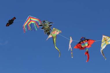 Ücretsiz Yüksek gökyüzü mavi uçurtma çarpıntı