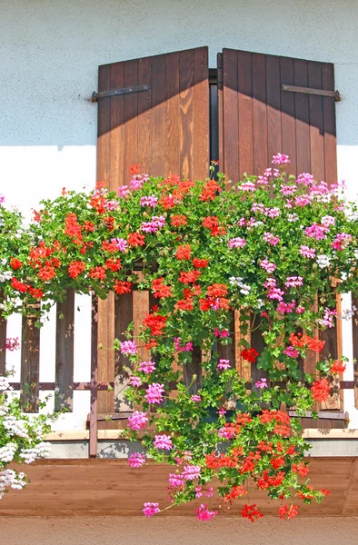 Balcone fiorito con grandi vasi di gerani fioritura 3 — Foto Stock